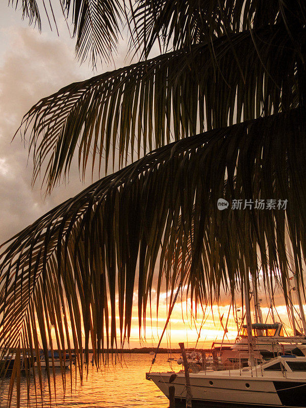 日落在游艇码头，加勒比岛Isla Mujeres，墨西哥